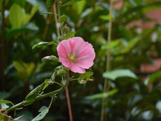 P1020088
