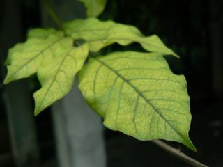 P1020129