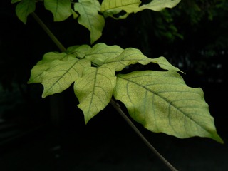 P1020134