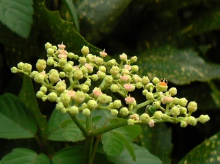 P10200901
