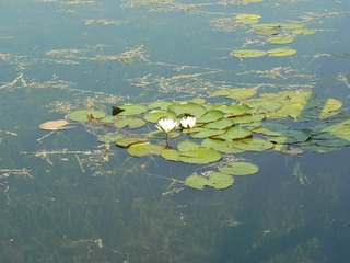 P1010043
