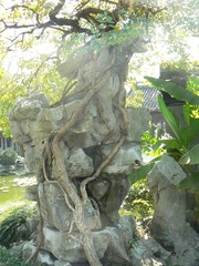 P1010113