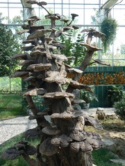 P1010181