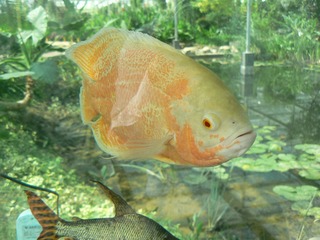 P1010182