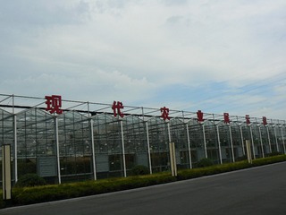 P1010188