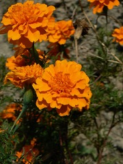 P1010620