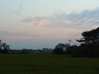 P1010692