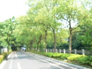 P1010841