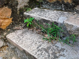 20120915_111403