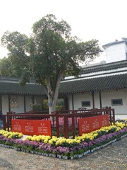 P1010741