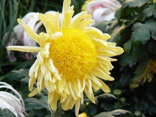 P1010754