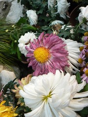 P1010756