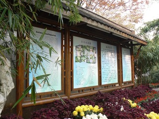 P1010782