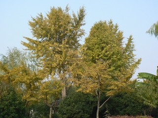 P1010772