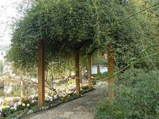 P1010779