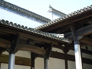 P1010362