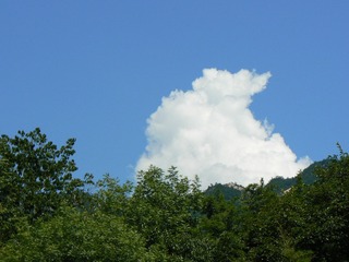 P1010342