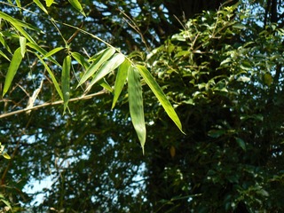 P1010380