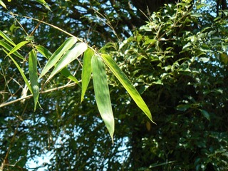 P1010381
