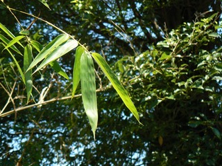 P1010382