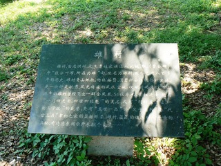 P1010391