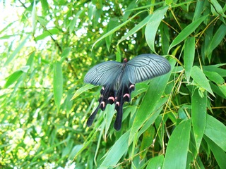 P1010506
