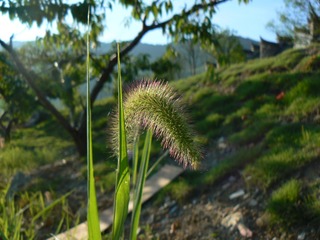P1010487