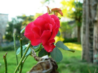 P1010491