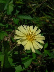 P1010502