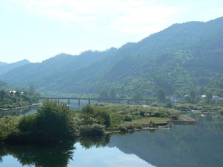 P1010503