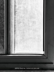 1000010409