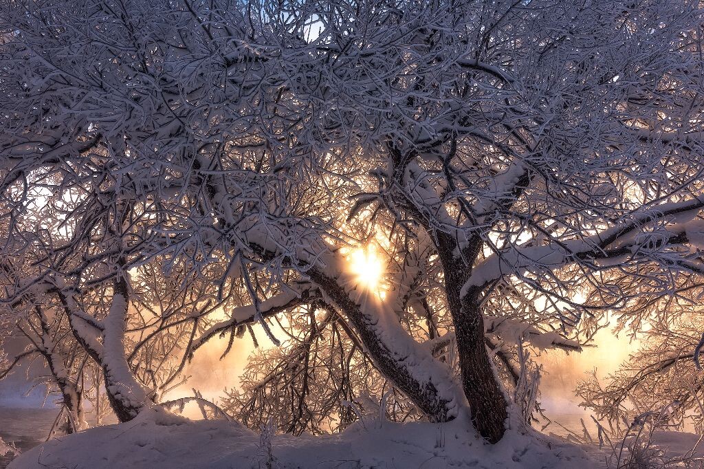 温暖的阳光，金色的雾气，白色的冰雪，三者构成了我国北方独特的冰雪奇观。
