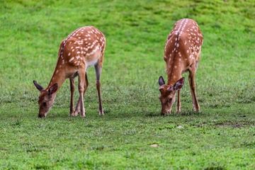 DSC_2711-srgb
