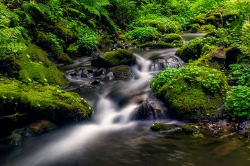 山中小溪