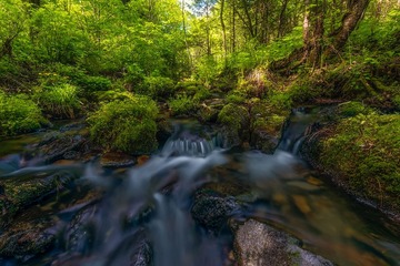 山中溪水