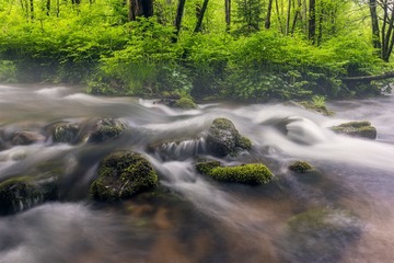 寻水秘境-溪水潺潺