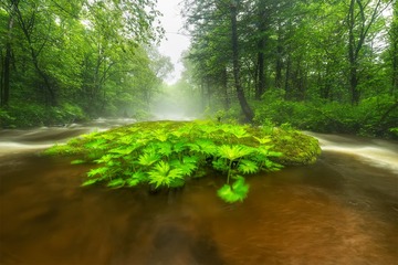 寻水秘境-梦幻之境
