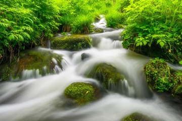 寻水秘境-美丽的山泉