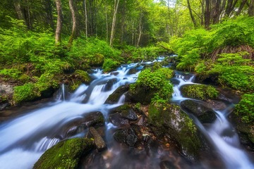 寻水秘境-灵动的溪水
