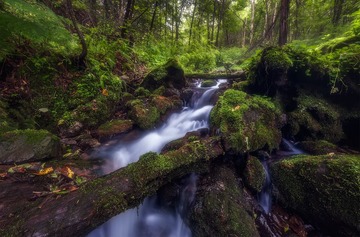 山中之瀑