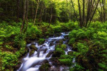 山中溪水