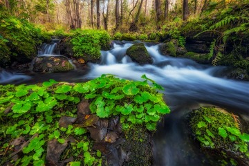 山中秋水