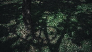 D2DF8233-F963-471F-9500-8FC4826A97CE/L0/001