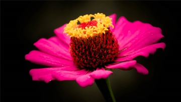 DSC_0494_1