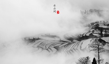 _MG_4538-87658658