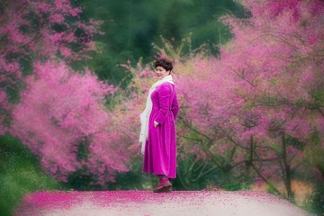 樱花雨2