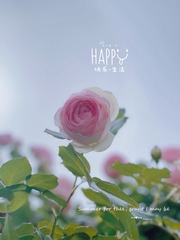 A8B33C63-5633-452B-9FE0-C70805A0CAAE/L0/001