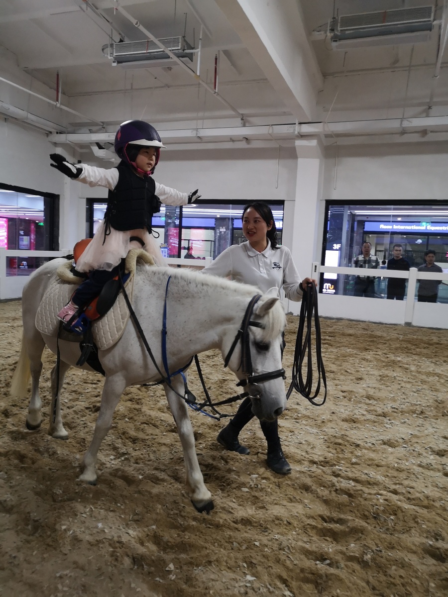 观看马术比赛着装,少年马术比赛视频在线观看