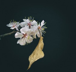 _DSC8699-编辑