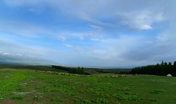 _DSC2448